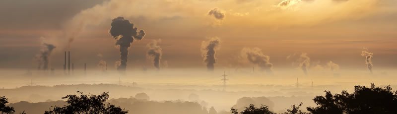 How Can We Become Carbon Neutral?